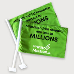Promote our vital message with car flags!