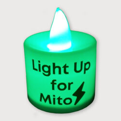 LED candle shop photo
