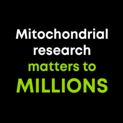 3. Mito Matters to MILLIONS